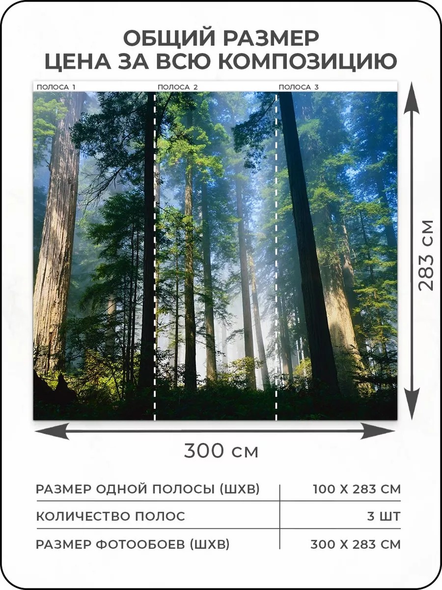 Флизелиновые фотообои "Пейзаж. Лес", 300*283 см, зеленый, синий