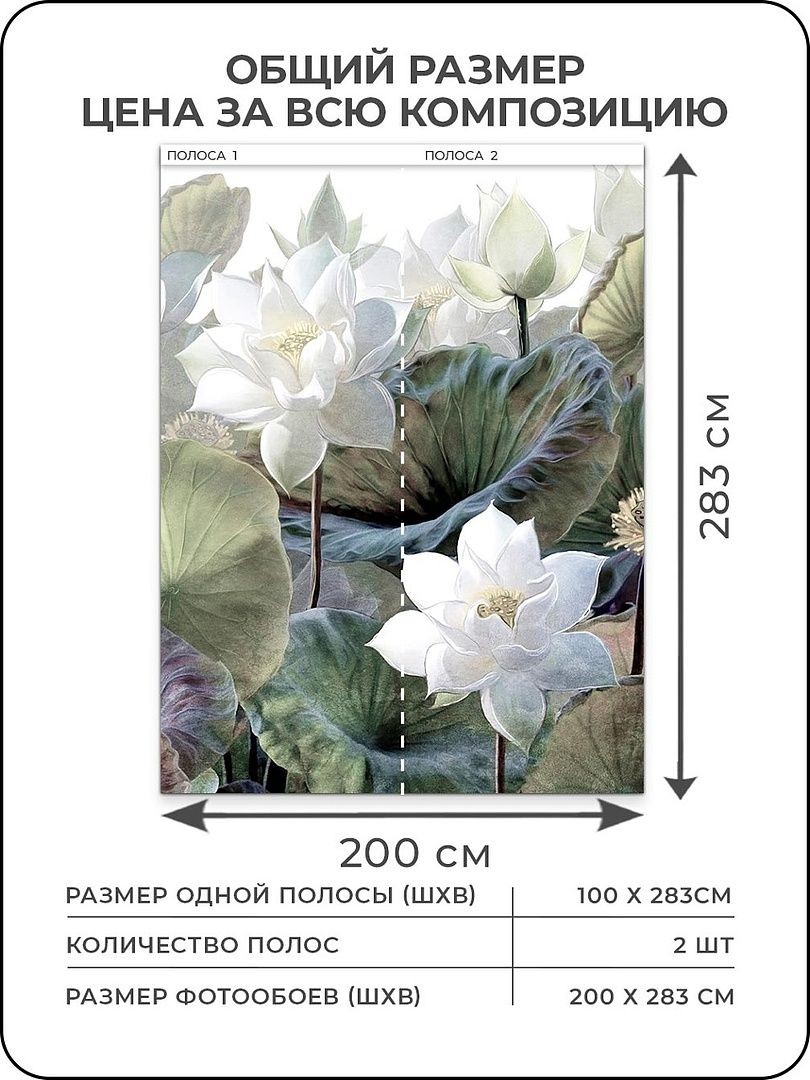 Флизелиновые фотообои "Цветы. Лотос", 200*283 см, белый, зеленый