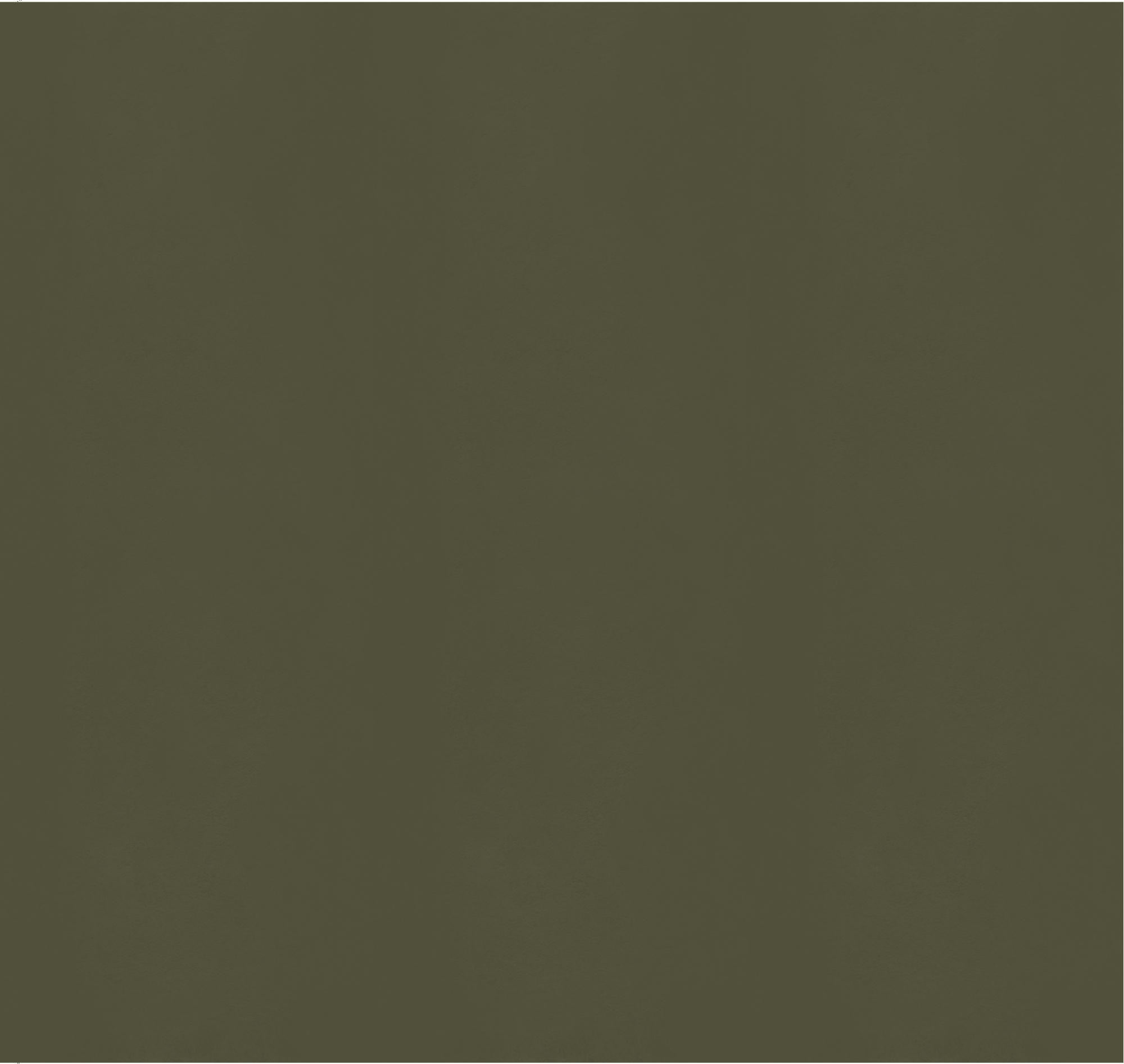 Флизелиновые фотообои однотонные, 300*283 см, хаки