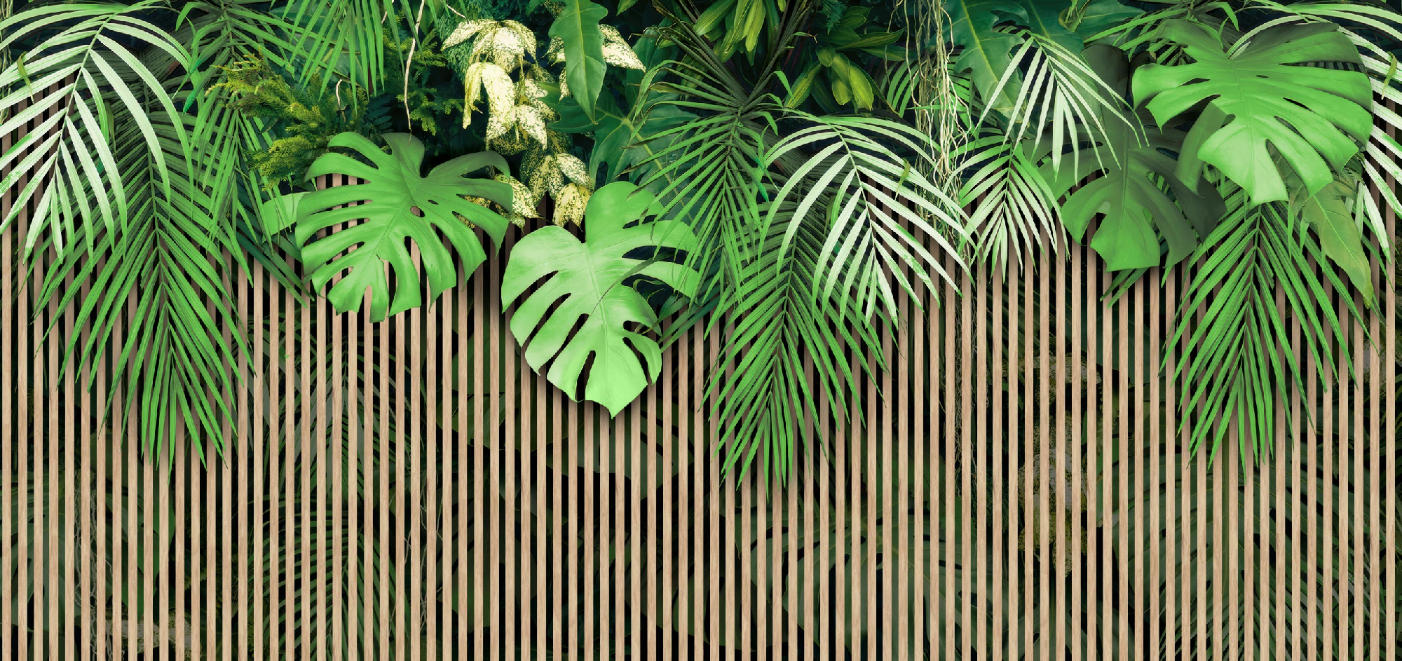 Флизелиновые фотообои "Рейки. Листья", 600*283 см, дерево, зеленый