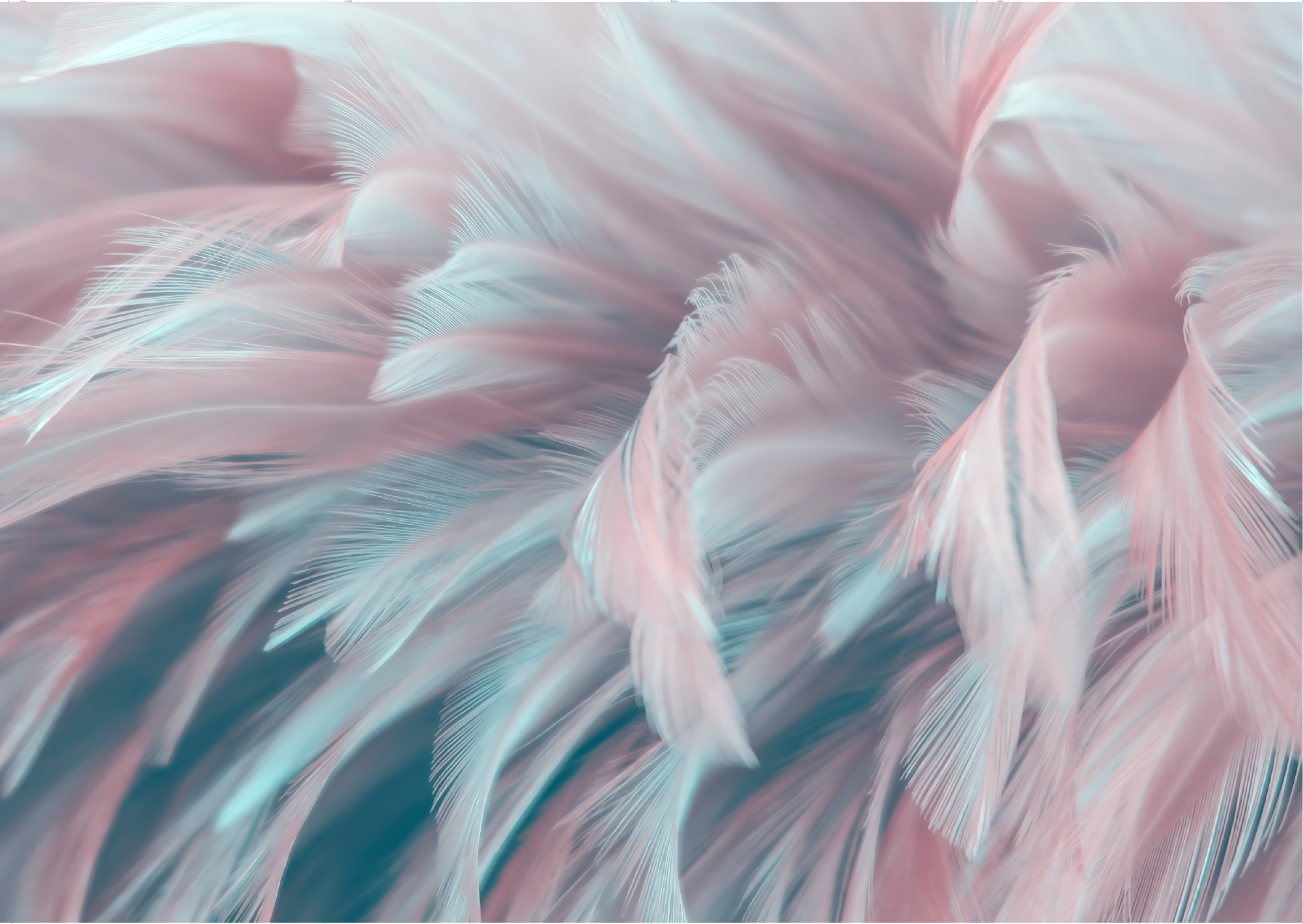 Флизелиновые фотообои "Перья", 400*283 см, разноцветный