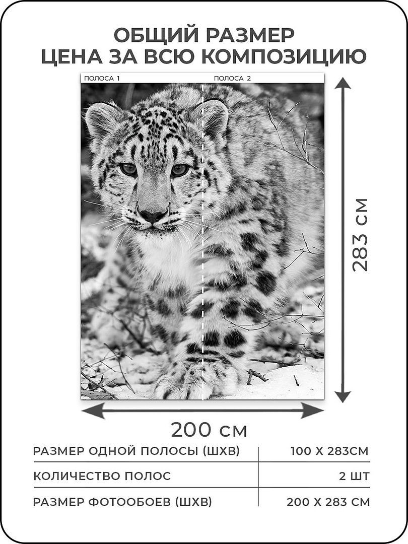 Флизелиновые фотообои "Снежный барс", 200*283 см, белый, серый